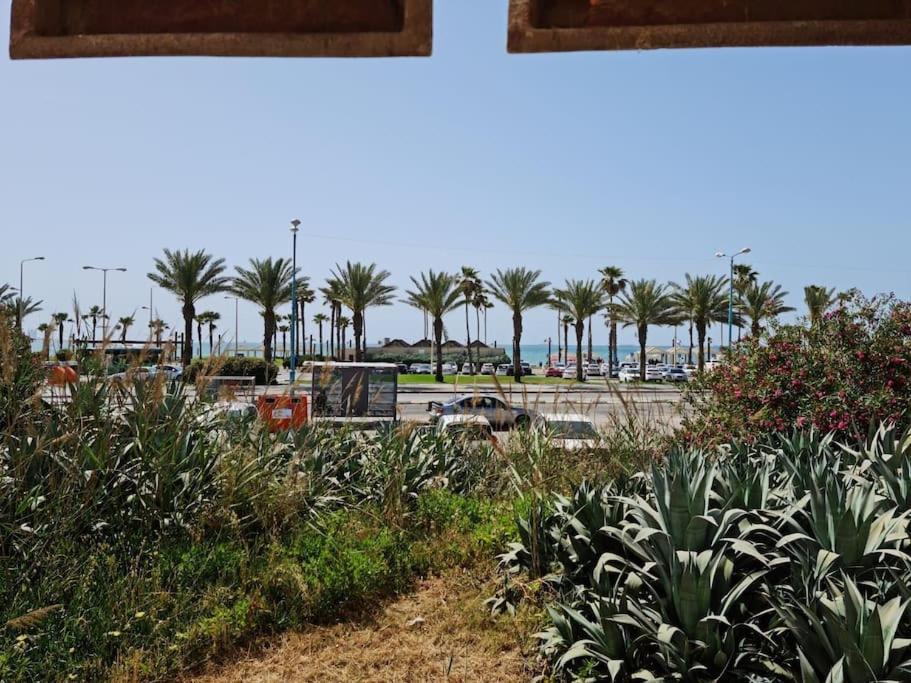 Beautiful Studio Apartment By The Sea 60-10 Haifa Bagian luar foto